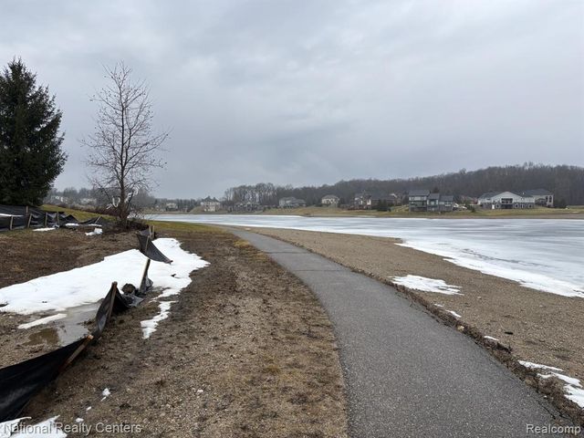 10376 Rosemarie Run Run, Brighton, MI 48114