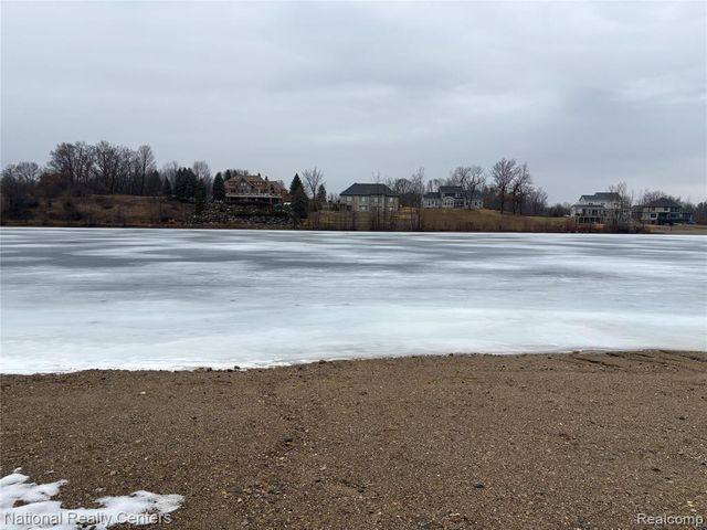 10376 Rosemarie Run Run, Brighton, MI 48114