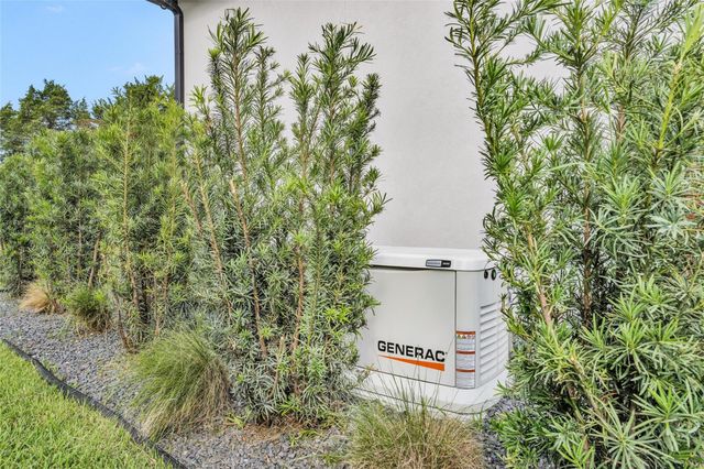 233 Blue Heron Drive, Montgomery, TX 77316