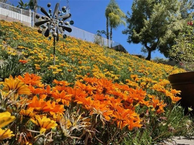 7743 Gold Buckle Court, Highland, CA 92346