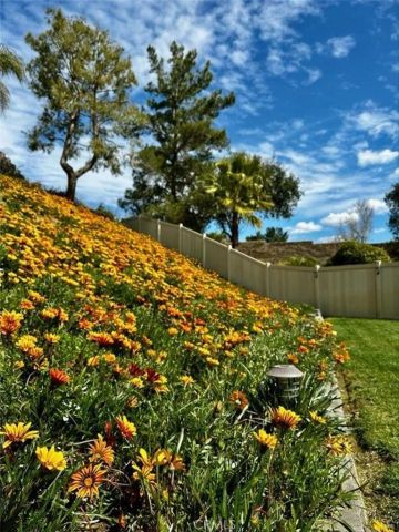 7743 Gold Buckle Court, Highland, CA 92346