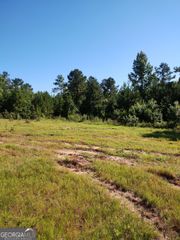 0 Moore Road, Register, GA 30452