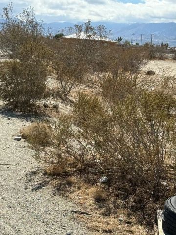 0 Beekley, Pinon Hills, CA 92372