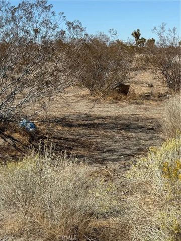 0 Beekley, Pinon Hills, CA 92372