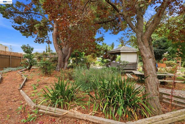 770 Grove Way, Hayward, CA 94541