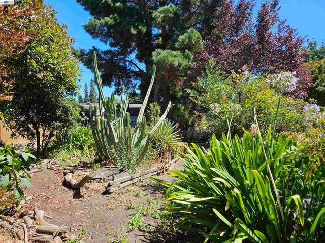 770 Grove Way, Hayward, CA 94541