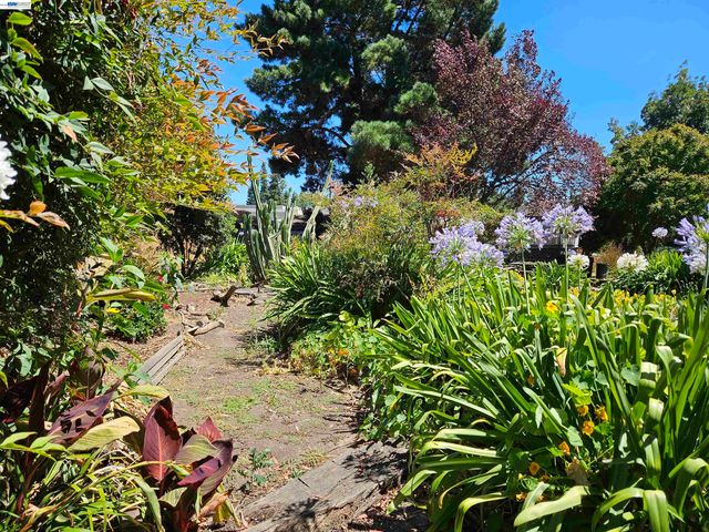 770 Grove Way, Hayward, CA 94541