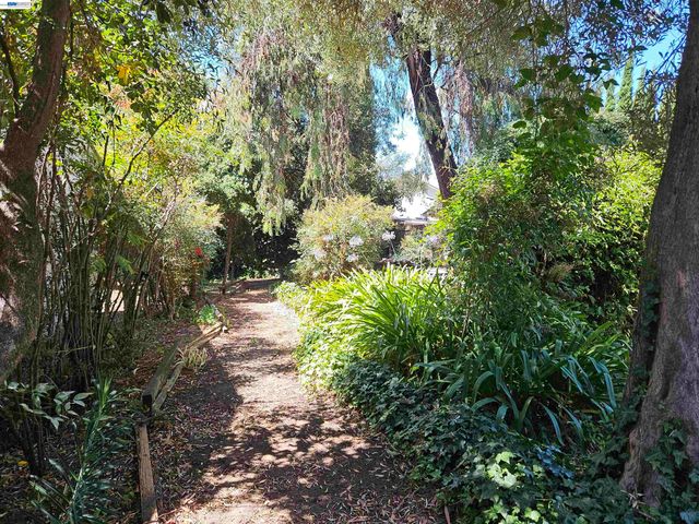 770 Grove Way, Hayward, CA 94541
