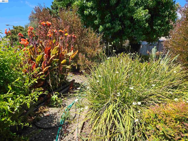 770 Grove Way, Hayward, CA 94541