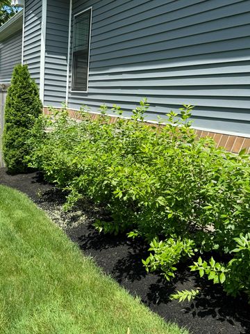 107 Kara Bryn Cove, Georgetown, KY 40324