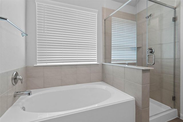 19645 Montgomery Ridge Way, Montgomery, TX 77316