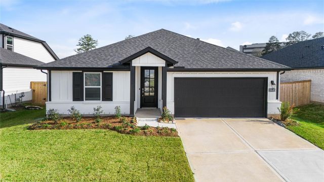 19645 Montgomery Ridge Way, Montgomery, TX 77316