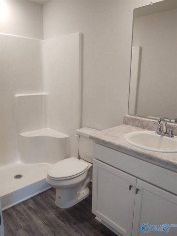 109 Woodsbrook Place, Madison, AL 35756