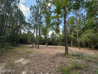 17129 Hillcrest Drive, Vancleave, MS 39565