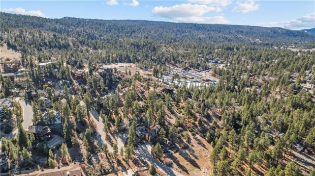 714 Paine, Big Bear Lake, CA 92315
