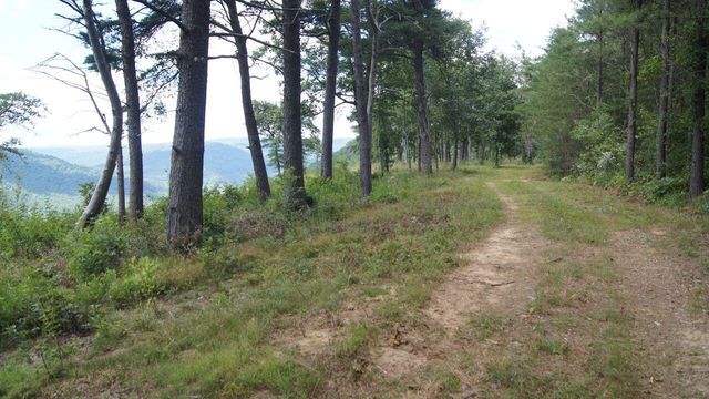 2070 River Bluffs Drive, Jasper, TN 37347