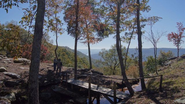 2070 River Bluffs Drive, Jasper, TN 37347