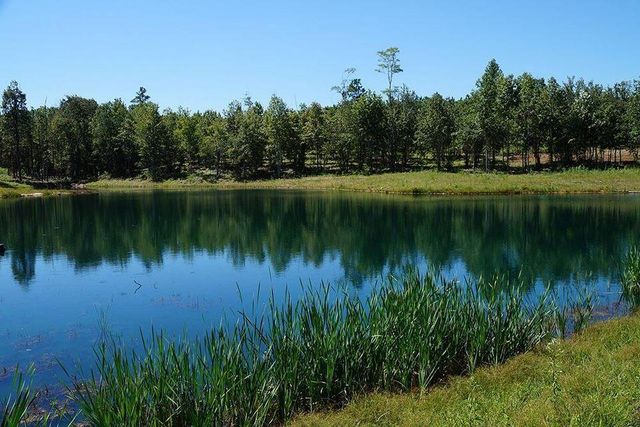 2070 River Bluffs Drive, Jasper, TN 37347