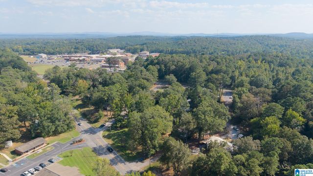 952 COGSWELL AVENUE, Pell City, AL 35125