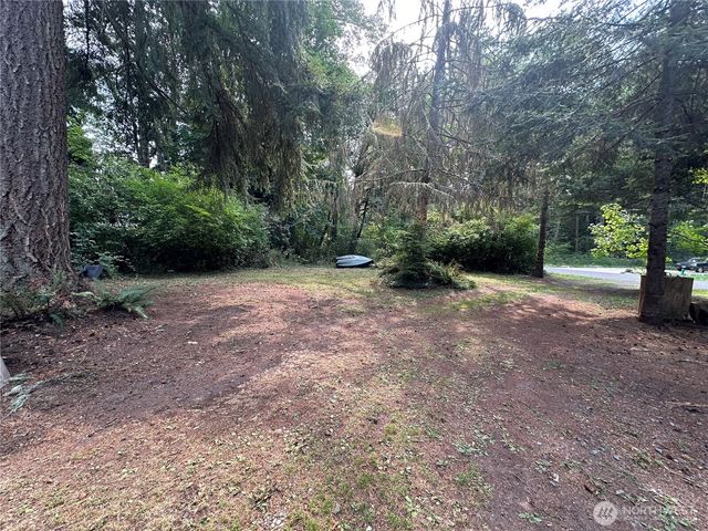 55509 310th Avenue Court E, Ashford, WA 98304