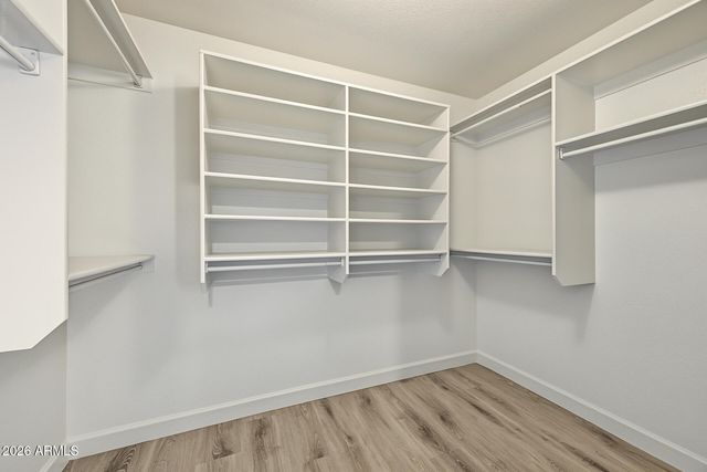 11145 W WINDSOR Avenue, Avondale, AZ 85323