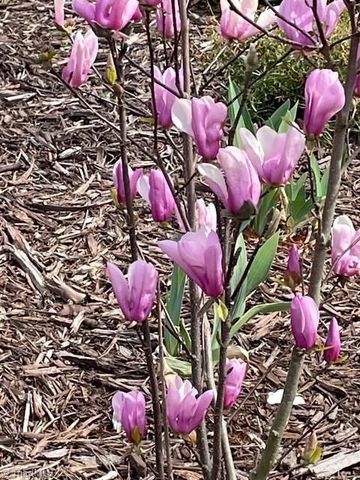 216 Parks Meadows Drive, Lexington, NC 27292