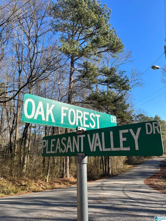 216 OAK FOREST DRIVE, Birmingham, AL 35217