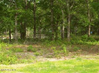 1943 Redfish Run, Supply, NC 28462