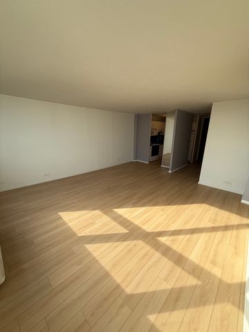 5100 N Marine Drive 15C, Chicago, IL 60640