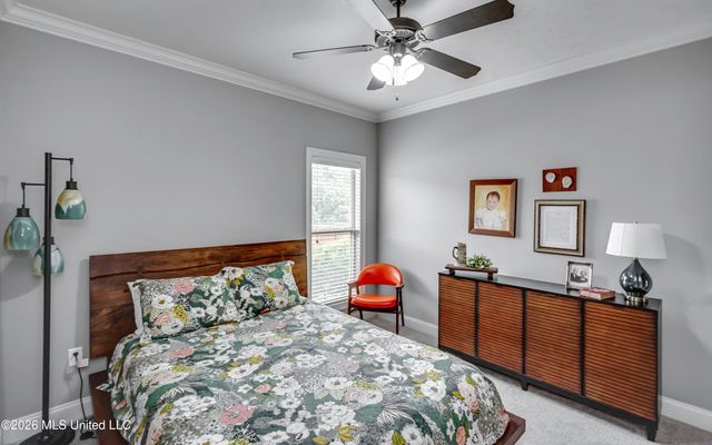 507 E Cowan Creek Cove, Brandon, MS 39047