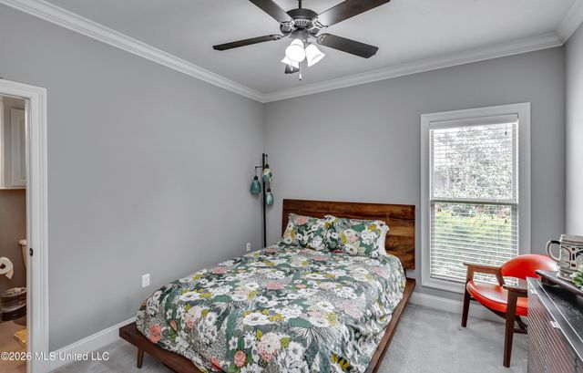 507 E Cowan Creek Cove, Brandon, MS 39047