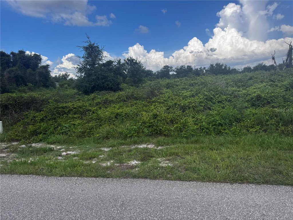 100 DAHOON BOULEVARD, Punta Gorda, FL 33982
