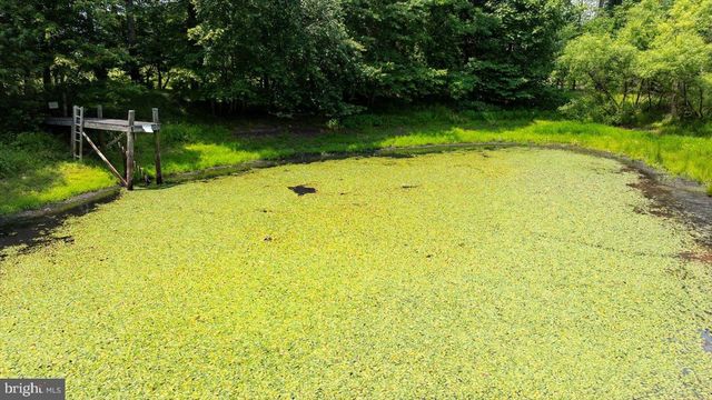 274 AARON MOUNTAIN RD, Castleton, VA 22716