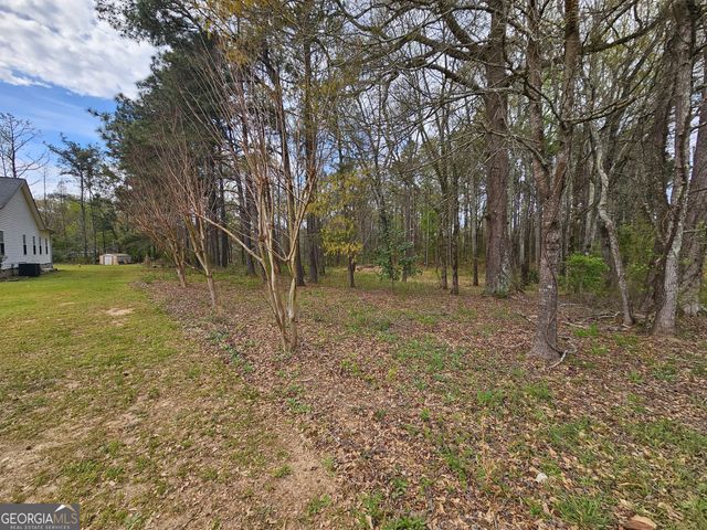 17 Goodwyn Road, Newnan, GA 30265