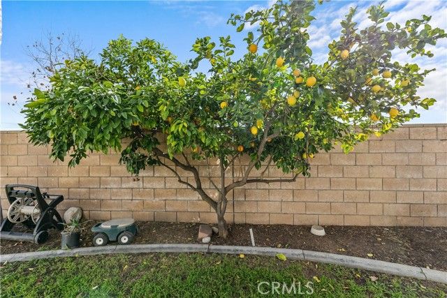 29385 Polo Street, Highland, CA 92346