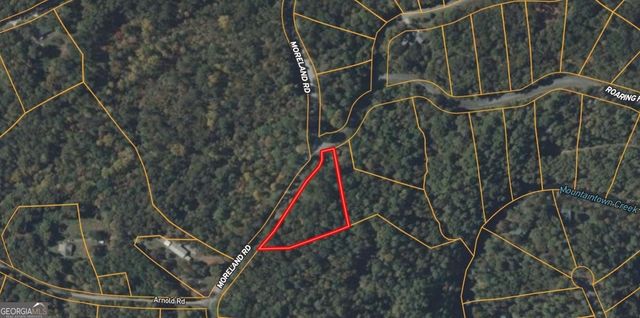 0 Roaring Forks Lane, Ellijay, GA 30540