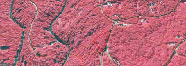 0 Roaring Forks Lane, Ellijay, GA 30540