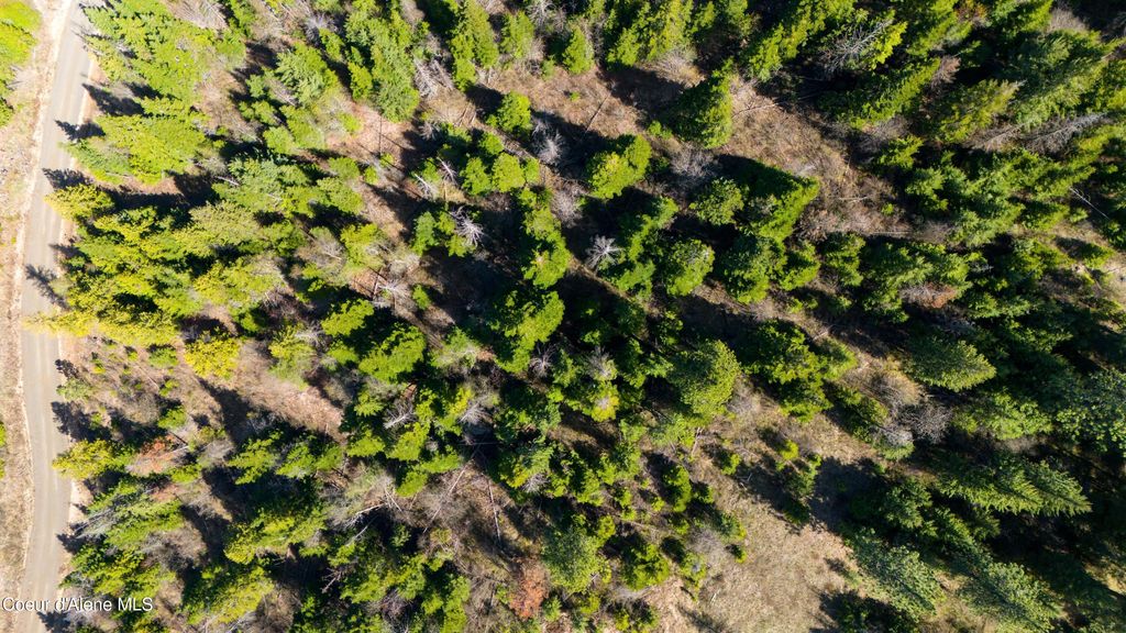 Lot 9 Lone Moose Dr, Plummer, ID 83851 photo 2