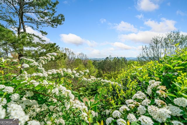 100 Fox Paw Leaf Court, Ellijay, GA 30536