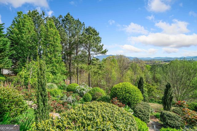 100 Fox Paw Leaf Court, Ellijay, GA 30536