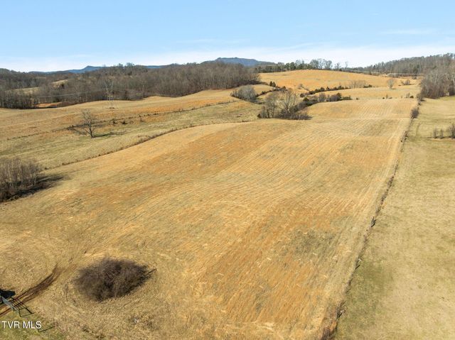 Lot 1 Tbd Tennessee 93, Fall Branch, TN 37656