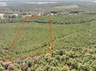 0 Sunflower Road, Livingston, TX 77351