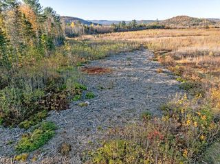 Lot 7 McIntyre Road, Dalton, NH 03598