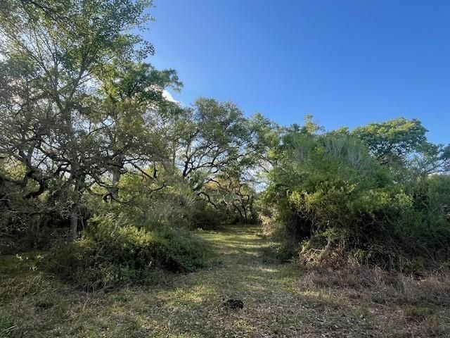 1600 County Road 121, Garwood, TX 77460