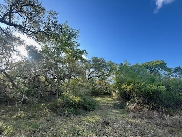 1600 County Road 121, Garwood, TX 77460