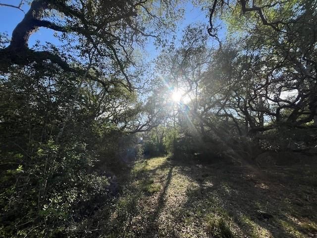 1600 County Road 121, Garwood, TX 77460