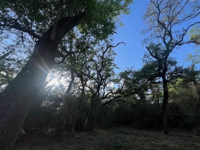 1600 County Road 121, Garwood, TX 77460