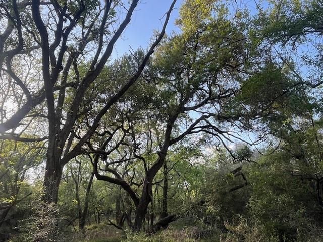 1600 County Road 121, Garwood, TX 77460