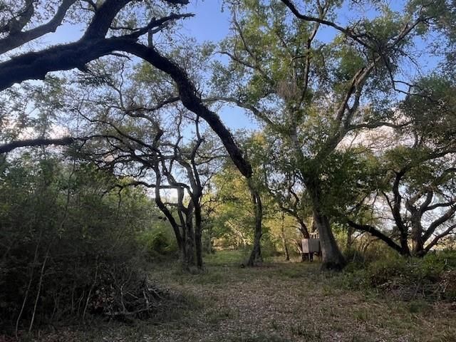 1600 County Road 121, Garwood, TX 77460