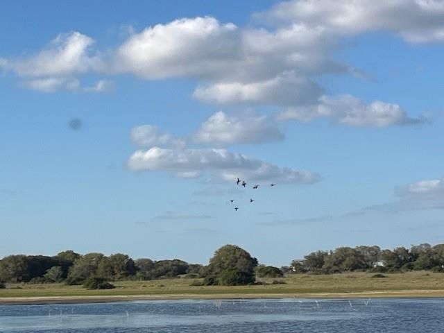 1600 County Road 121, Garwood, TX 77460